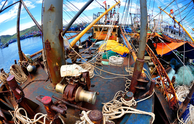 Ngư dân Bình Định yêu cầu bồi thường 45,6 tỷ đồng vụ tàu thép nằm bờ