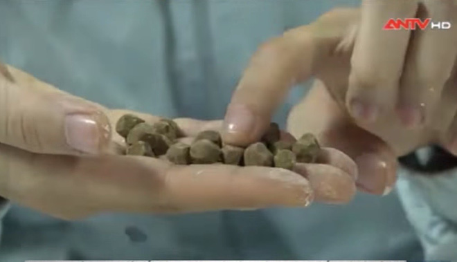 Sự thật giật mình đằng sau hạt trân châu giòn dai trong ly trà sữa nhiều người ưa thích