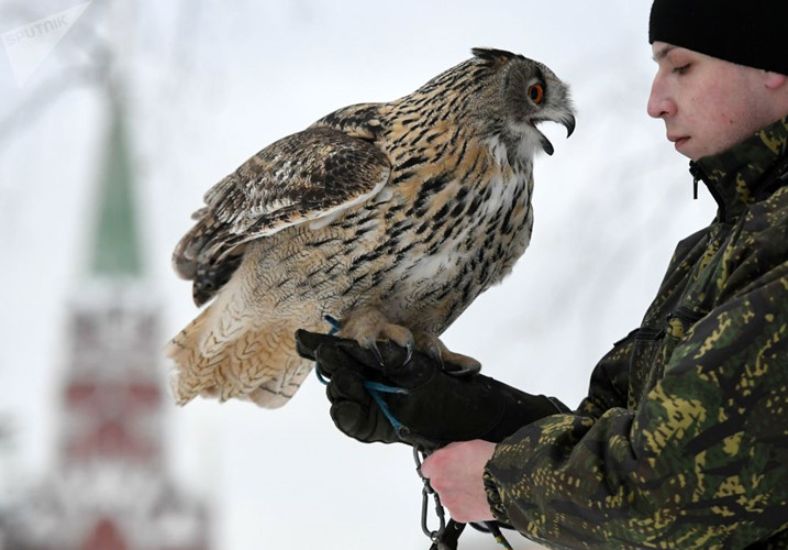 Đội cận vệ điện Kremlin: Kỳ cục từ thành phần tới nhiệm vụ
