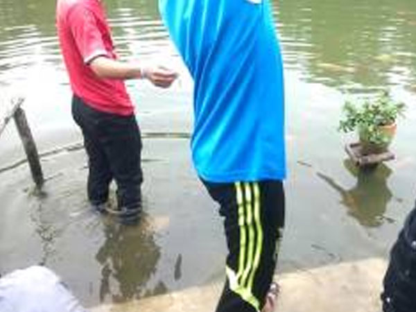 Cuộc trả thù bất thành của nhóm đi câu trộm cá