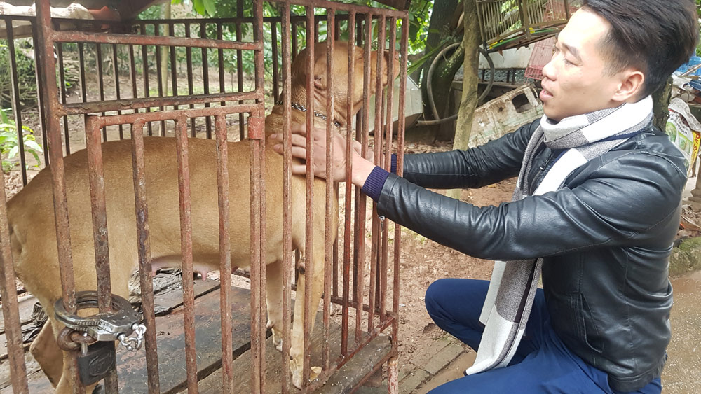 Hi hữu: Xin mang chó đi giám định để vạch mặt kẻ trộm chó