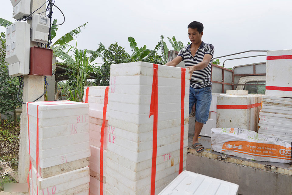 Mùa đặc sản lộc trời độc đáo ở Hải Dương Mùa đặc sản lộc trời độc đáo ở Hải Dương