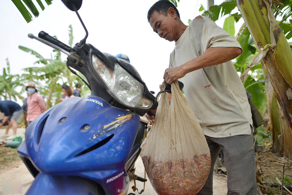 Mùa đặc sản lộc trời độc đáo ở Hải Dương Mùa đặc sản lộc trời độc đáo ở Hải Dương