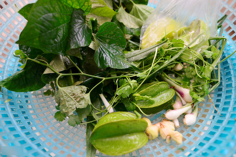 Mùa đặc sản lộc trời độc đáo ở Hải Dương Mùa đặc sản lộc trời độc đáo ở Hải Dương