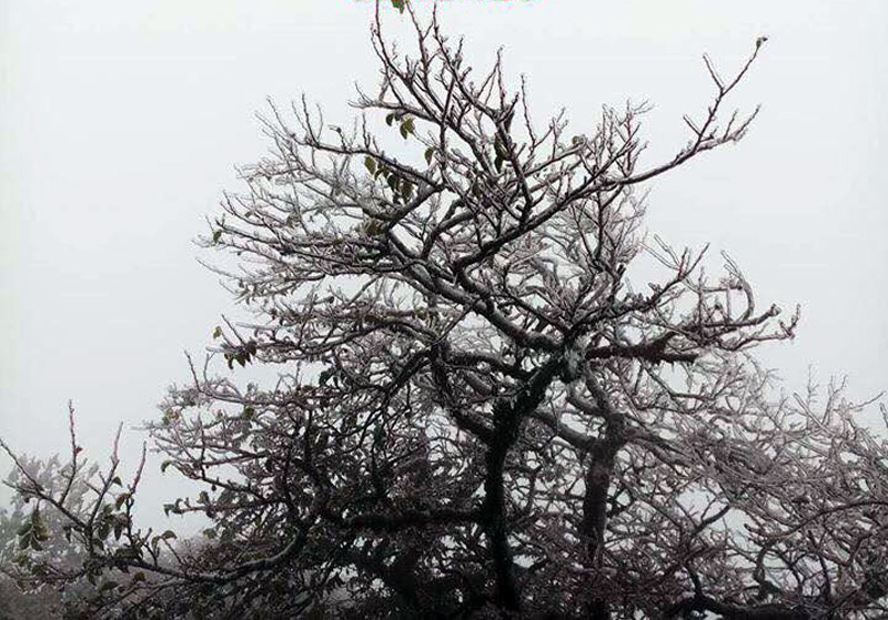 Dự báo thời tiết 16/12: Rét nhất đầu mùa, Sa Pa xuống -1 độ