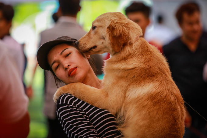 Chó cảnh giá nghìn đô mỗi con khoe sắc, thi tài ở TP HCM