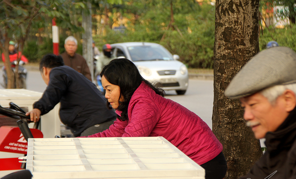 6 xe đạp bên hồ người Hà Nội nào cũng thích dùng thử