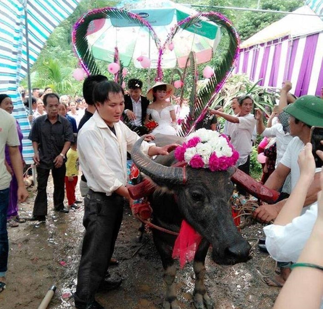 Đón dâu bằng máy xúc và những màn rước nàng về dinh độc đáo