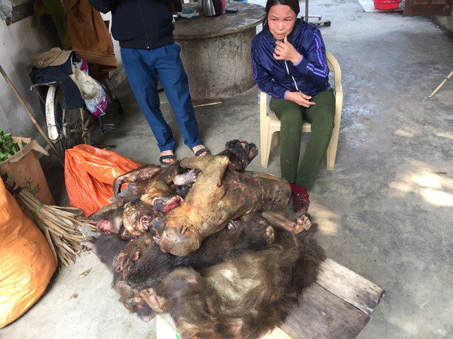 Bắt quả tang người phụ nữ chở 7 con khỉ đi tiêu thụ