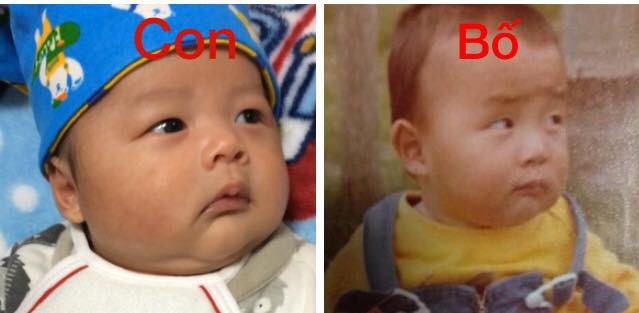 Xem xong series ảnh này, hội mẹ bỉm cũng phải ôm nhau gật gù, hóa ra team đẻ thuê là có thật