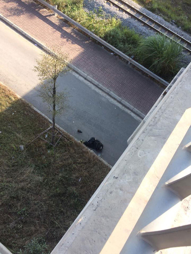 Hà Nội: Xe máy lao thẳng vào lan can đường trên cao, người đàn ông rơi xuống đất tử vong tại chỗ