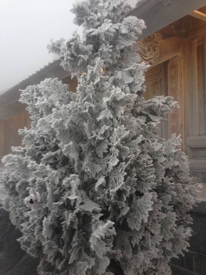 Đỉnh Fansipan trắng xóa băng tuyết khi nhiệt độ trong đêm giảm xuống -7 độ C