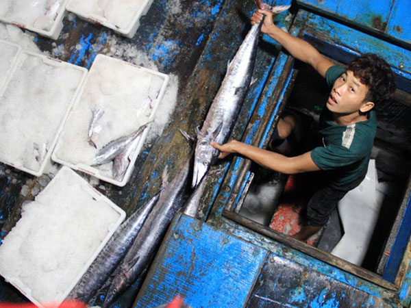 Bị thẻ vàng, doanh nghiệp hải sản tìm cách tự cứu mình