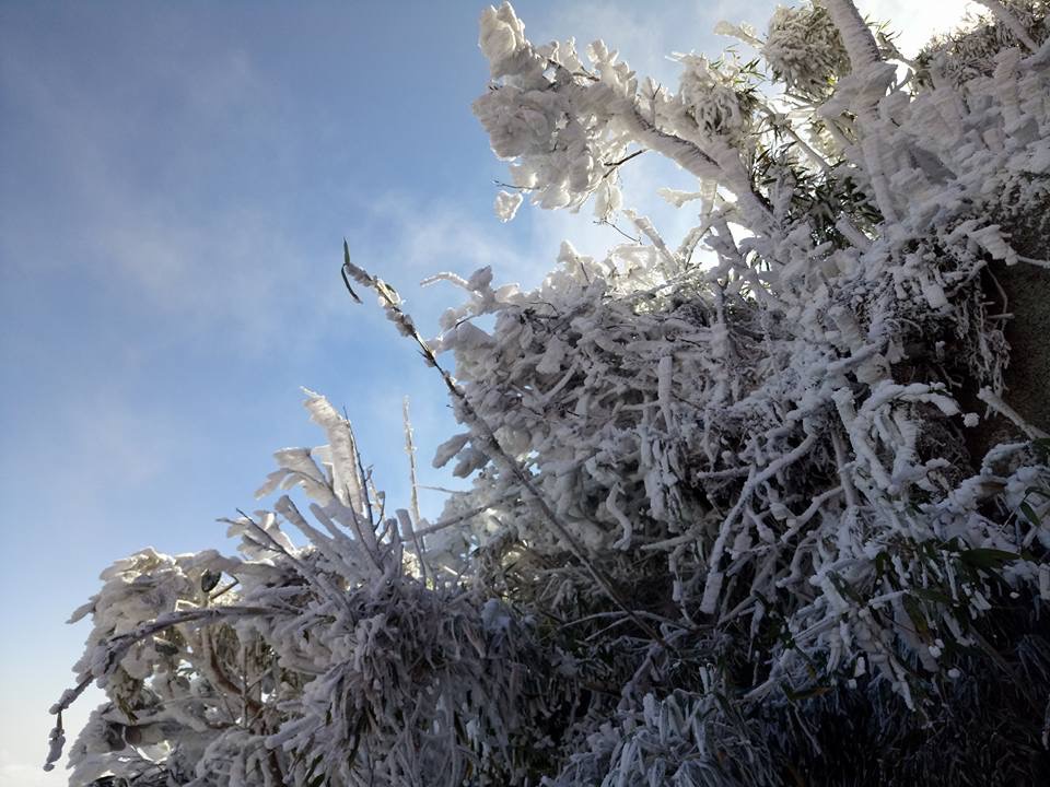 Sau Fansipan, sương muối trắng xóa xuất hiện ở Sa Pa