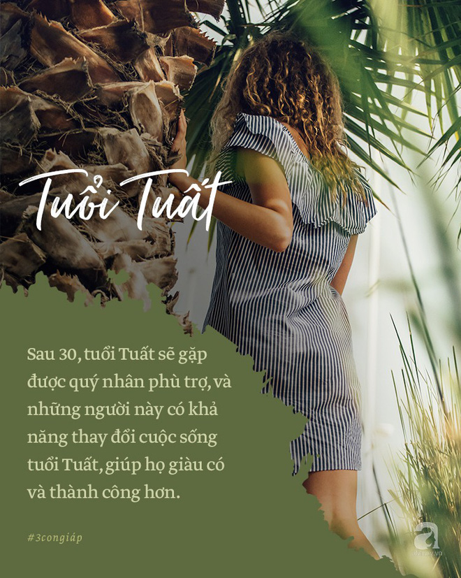 3 con giáp trước 30 tuổi bị cản đường tài vận, sau 30 giàu có thả ga 3 con giáp trước 30 tuổi bị cản đường tài vận, sau 30 giàu có thả ga