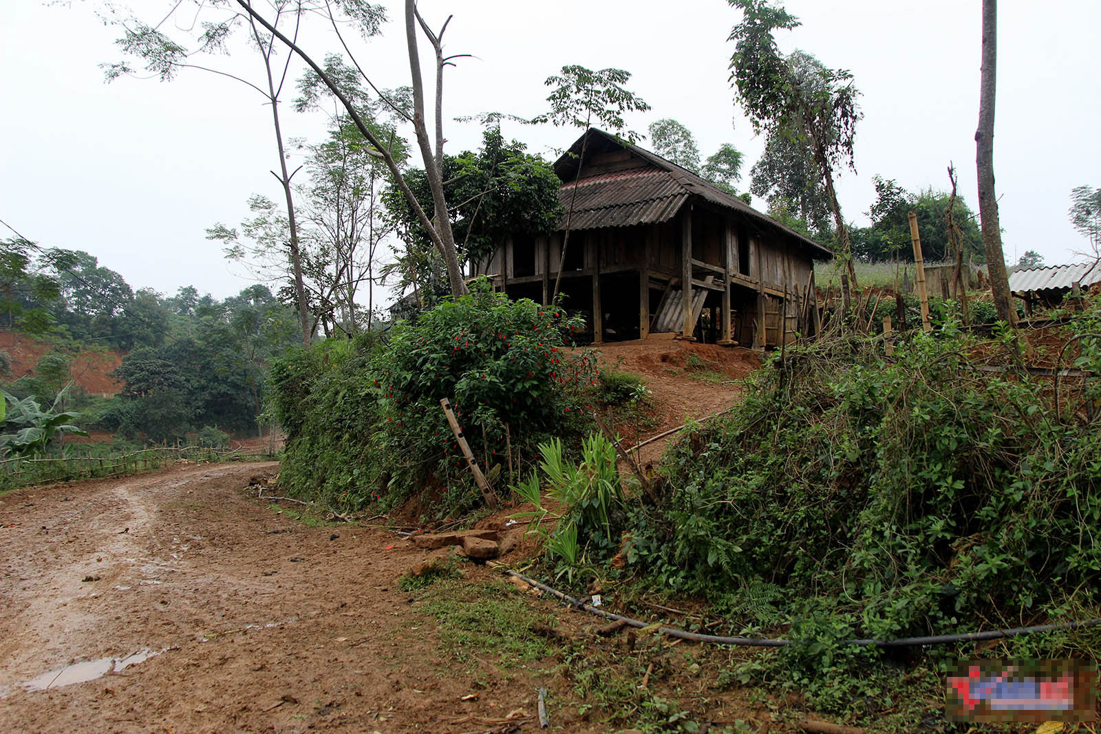 Trở lại Hòa Bình: Nửa đêm toát mồ hôi, tiếng xe tải tưởng lở núi