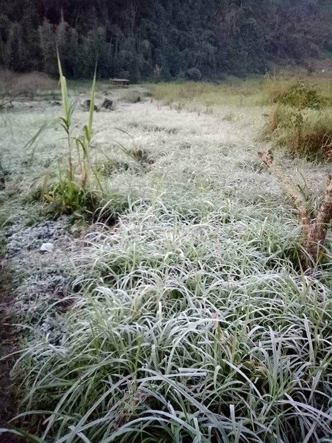 Băng giá xuất hiện tại miền núi Nghệ An, có nơi nhiệt độ xuống 0 độ C