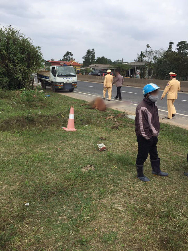 Phượt thủ SG ra HN mua motor, đang chạy xuyên Việt về thì đâm phải con bò khiến xe nát bét