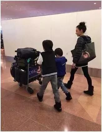 Cha Tạ Đình Phong để lại toàn bộ tài sản cho Trương Bá Chi và hai cháu