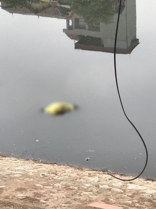 Hà Nội: Phát hiện thi thể người đàn ông nổi lập lờ trên sông Tô Lịch