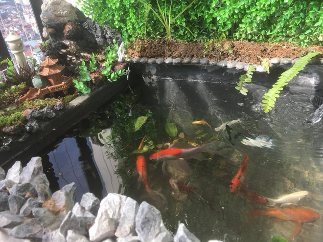 Ông bố khéo tay chế bể cá cảnh sang chảnh từ thùng xốp mua đầy ngoài chợ