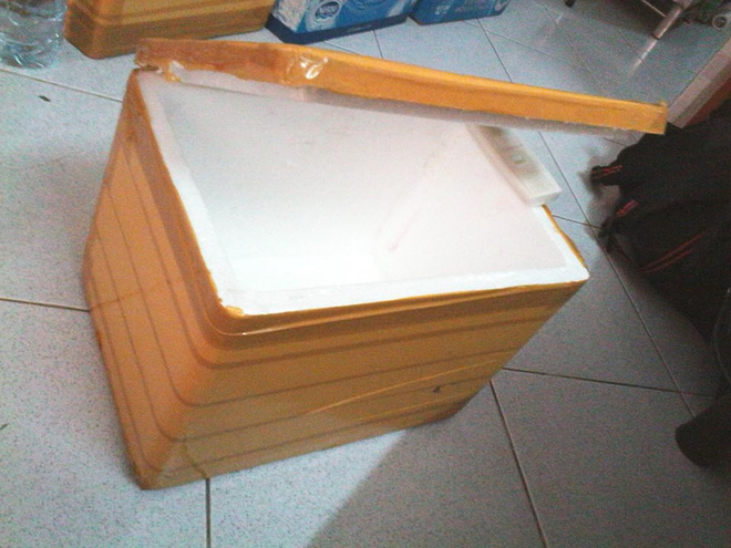 Ông bố khéo tay chế bể cá cảnh sang chảnh từ thùng xốp mua đầy ngoài chợ