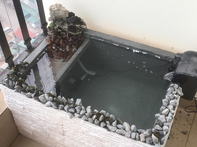 Ông bố khéo tay chế bể cá cảnh sang chảnh từ thùng xốp mua đầy ngoài chợ