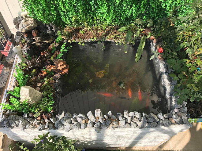 Ông bố khéo tay chế bể cá cảnh sang chảnh từ thùng xốp mua đầy ngoài chợ