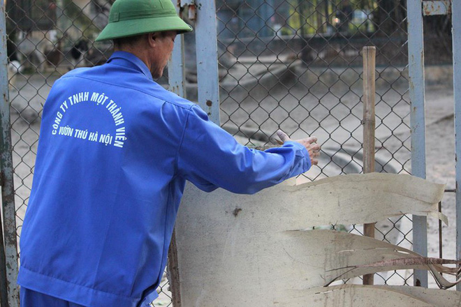 Bật máy sưởi, đốt lửa để giữ ấm cho động vật quý hiếm ở Vườn thú Hà Nội