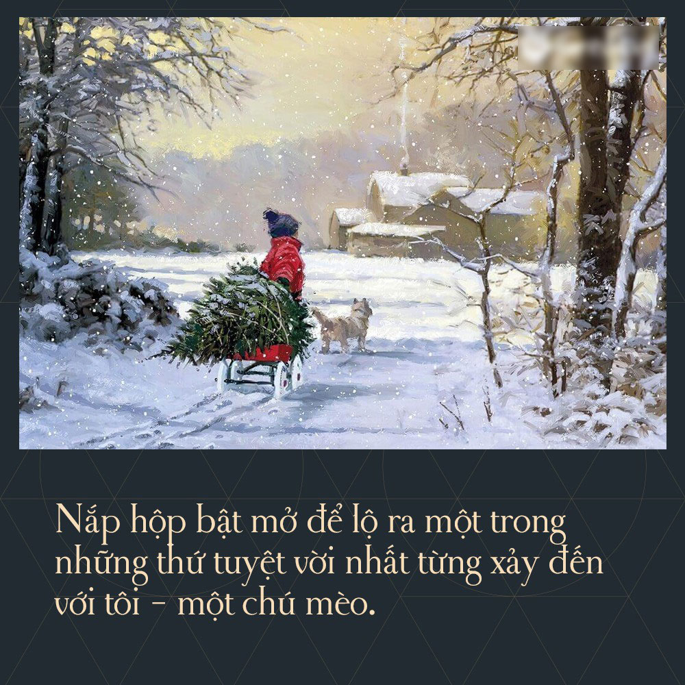 9 câu chuyện Giáng sinh sẽ khiến bạn tin vào phép màu cuộc sống từ những điều bình dị nhất