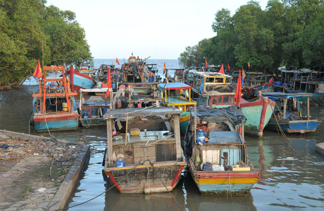 Tiền Giang còn gần 800 tàu đánh bắt xa bờ đang trên biển