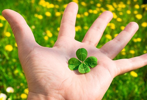 Chủ nhật của bạn (24/12): Song Ngư hòa nhập với mọi người