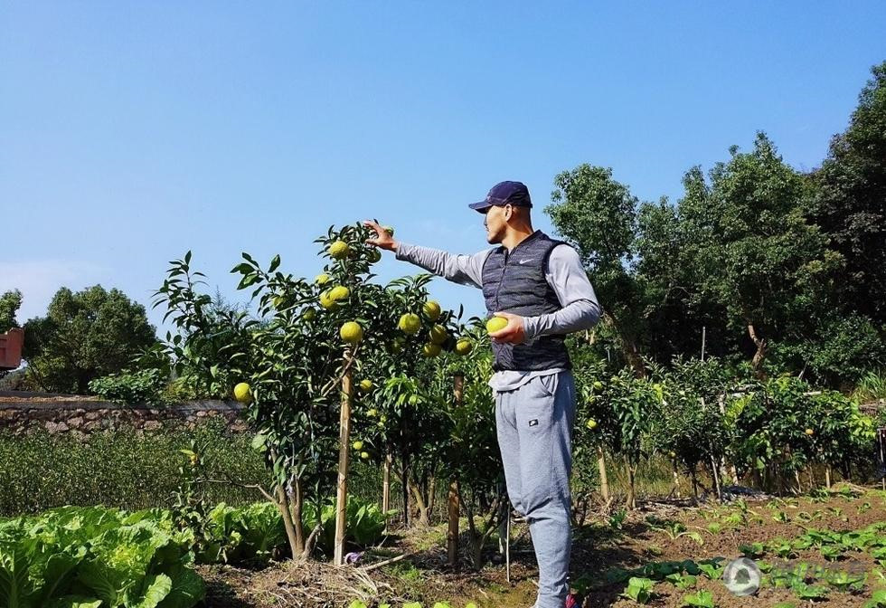 ‘Đệ nhất Thiếu Lâm’ Nhất Long: Đặc vụ SWAT là đối thủ mạnh nhất