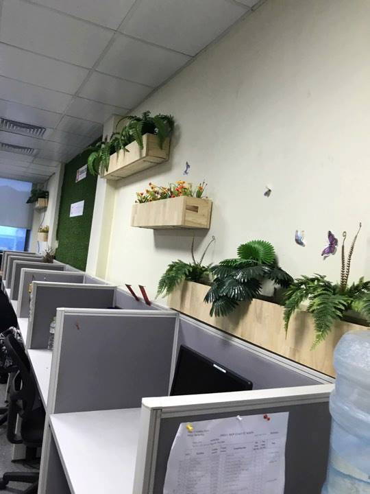 TP.HCM: Một số công ty cho nhân viên nghỉ để tránh bão Tembin