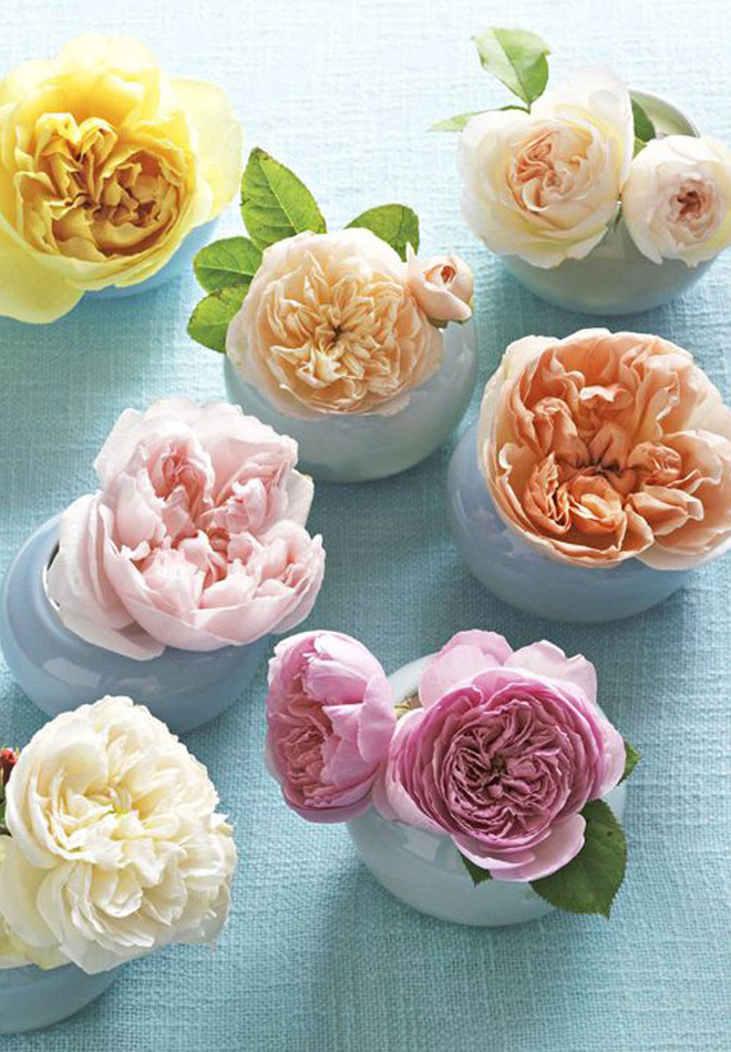 Những cách cắm hoa đơn giản giúp căn nhà từ buồn tẻ trở nên vô cùng sinh động