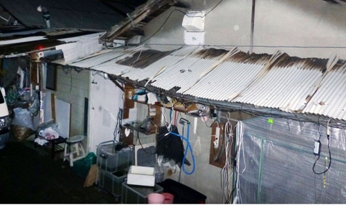 Cô gái Nhật chết cóng vì bị cha mẹ nhốt trong căn phòng 3 m2