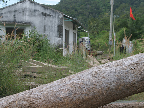 Khó tìm ra thủ phạm phá rừng vì kiểm lâm chậm chuyển hồ sơ cho công an