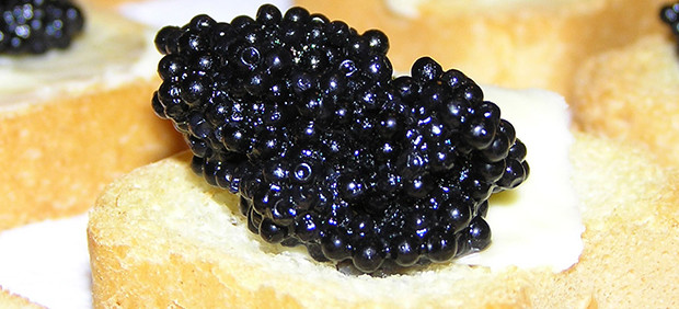 Đại gia mở tiệc trứng cá tầm: Mỗi người được 2 thìa, tiêu tốn trăm triệu