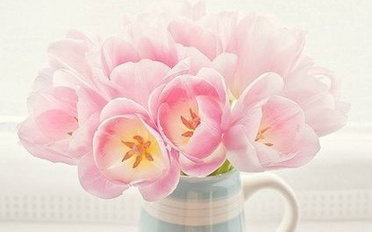 Thứ Năm của bạn (28/12): Bọ Cạp năng lượng dồi dào