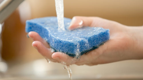 6 vật dụng bẩn nhất trong bếp nhà bạn 6 vật dụng bẩn nhất trong bếp nhà bạn