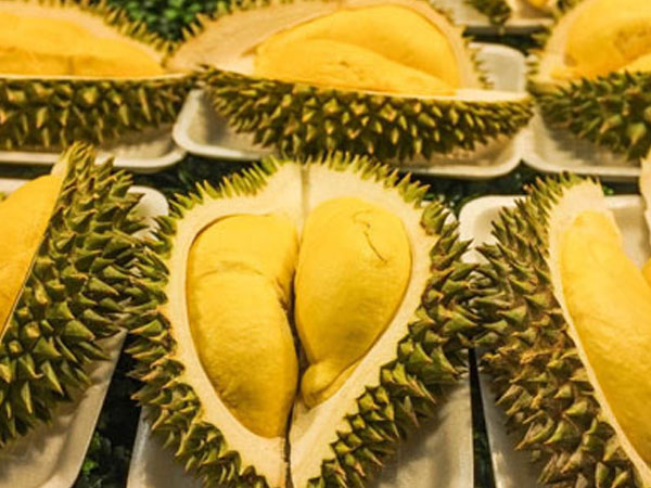 Sầu riêng từ vườn tới cửa hàng tăng giá đột biến