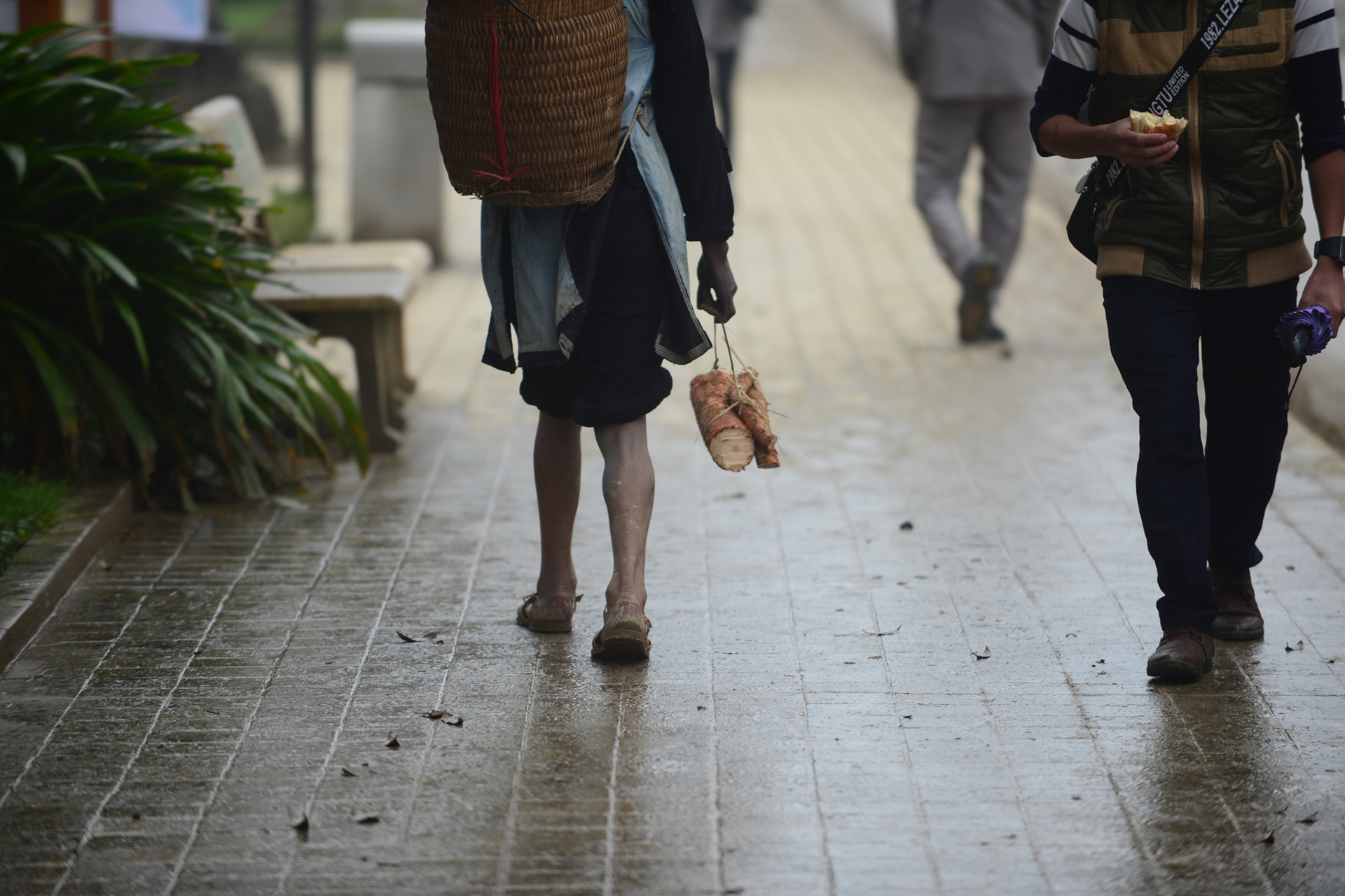 Sa Pa trong nỗi thất vọng của du khách