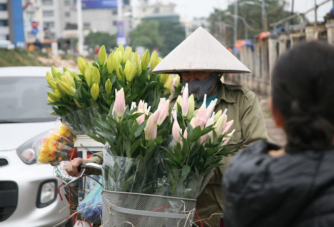 Đào nở sớm đắt và kém sắc, giá lên tới 450.000 đồng/cành người Hà Nội vẫn mua về chơi Tết Dương lịch
