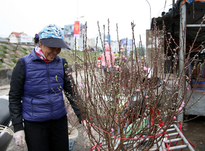 Đào nở sớm đắt và kém sắc, giá lên tới 450.000 đồng/cành người Hà Nội vẫn mua về chơi Tết Dương lịch
