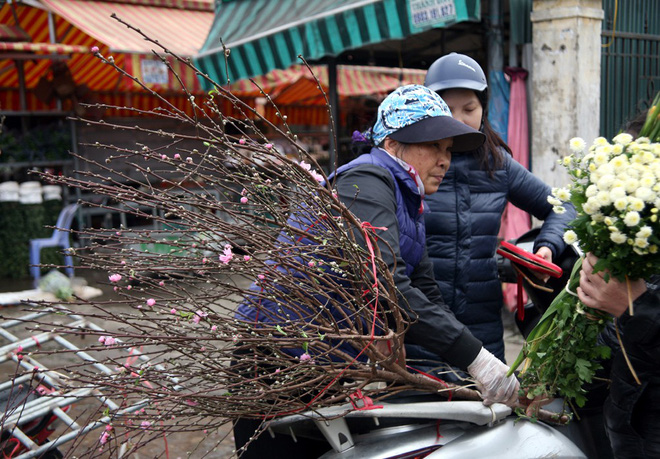 Đào nở sớm đắt và kém sắc, giá lên tới 450.000 đồng/cành người Hà Nội vẫn mua về chơi Tết Dương lịch