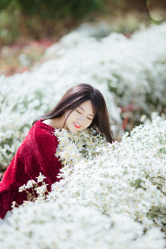 Say mê ngắm hot girl Sài thành đẹp như tranh vẽ bên cúc họa mi Hà Nội