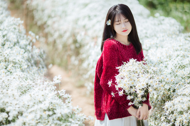 Say mê ngắm hot girl Sài thành đẹp như tranh vẽ bên cúc họa mi Hà Nội