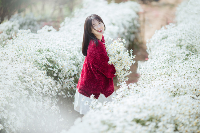 Say mê ngắm hot girl Sài thành đẹp như tranh vẽ bên cúc họa mi Hà Nội