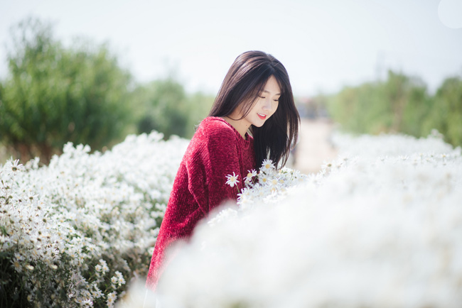 Say mê ngắm hot girl Sài thành đẹp như tranh vẽ bên cúc họa mi Hà Nội