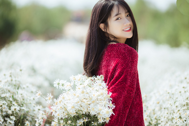 Say mê ngắm hot girl Sài thành đẹp như tranh vẽ bên cúc họa mi Hà Nội